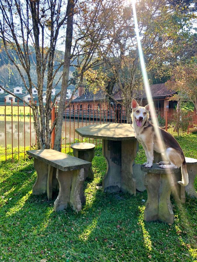 Pousada Parque Das Pitangueiras Флорес-да-Куння Екстер'єр фото